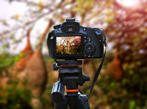 social-distancing-monitoring-app